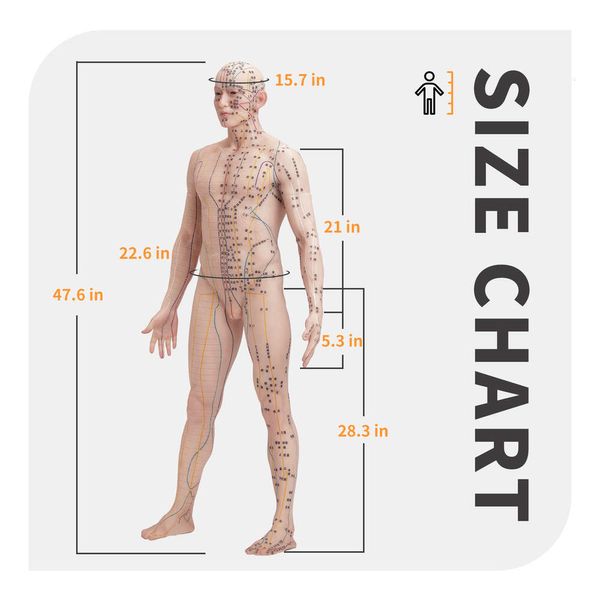 121 cm Modell mit China-Punkten, menschlicher Körper, Akupunktur, Moxibustion, Silikonpuppe, chinesische medizinische Lehrausrüstung