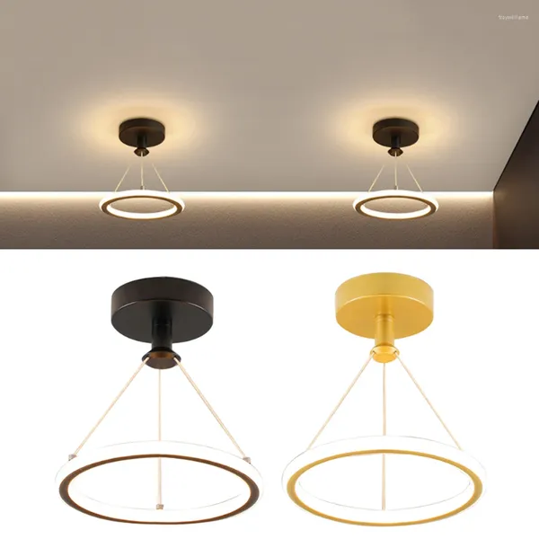 Lampade a sospensione Lampadario cavo a LED Lampadario a sospensione a risparmio energetico Luce interna dimmerabile Luminosità in ferro battuto per camera da letto Bagno