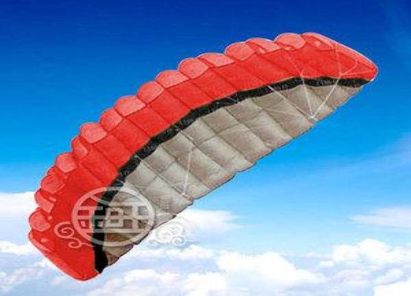 Parafoil de acrobacias de 2 linhas de 250 cm POWER Sport KiteQuatro cores opcionais8440544