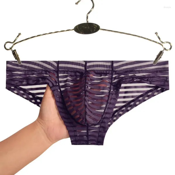 Underpants Underwear Homens Briefs Transparente Seda Listrado Sexy Lingerie Sheer Slip Homme Gay 2024 Mens