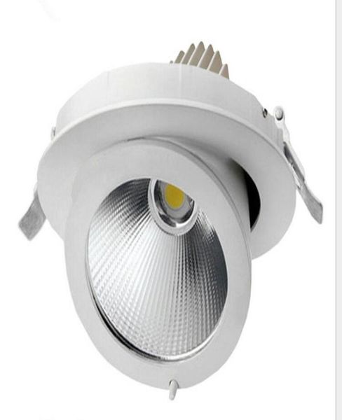 Tutta la fabbrica 30W LED Trunk Downlight COB Lampada da soffitto Incasso regolabile Super Bright Indoor Light pannocchia ha condotto il downlight AC85263697051