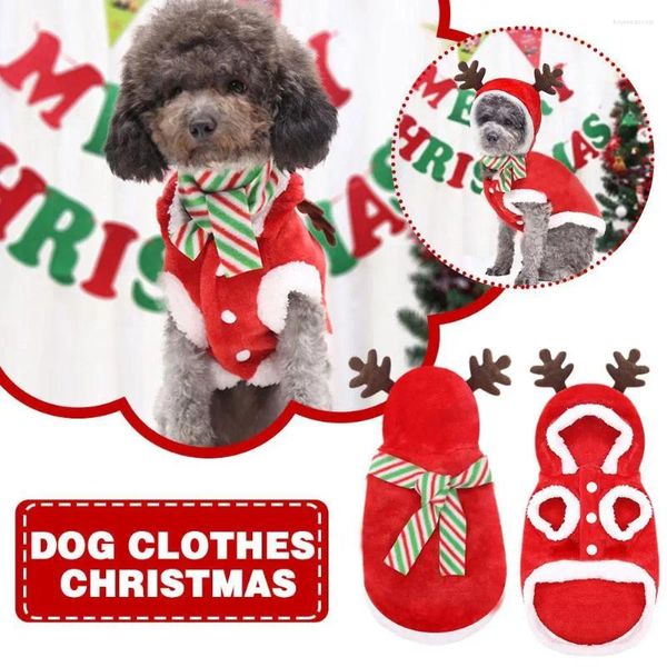 Abbigliamento per cani Felpe con cappuccio Natale Halloween Vacanze Maglione Cappotto Cucciolo di neve Alce Renna Pupazzo di neve Abiti Cosplay per costume da gatto