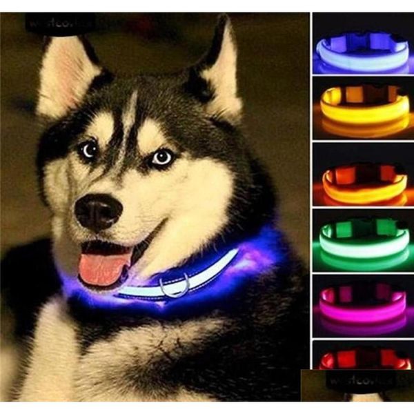 Collari per cani Guinzagli Nylon Led Sicurezza notturna Lampeggiante Glow In The Dark Guinzaglio Cani Luminoso Fluorescente Forniture per animali domestici Riflettore regolabile Dhanm