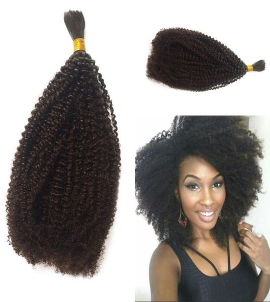 Capelli sfusi mongoli Afro crespi ricci sfusi per intrecciare le estensioni dei capelli umani 826 pollici Disponibile FDSHINE5197017