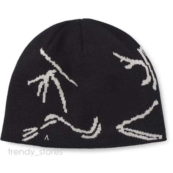 Arctery Beanie Marka Tasarımcısı Kemik Kuş Şapka Şapkası Markası Beta Lt Beyzbol Kapağı Tek Kapak Sonbahar 362 Arc Beanie Antarktika Beanie