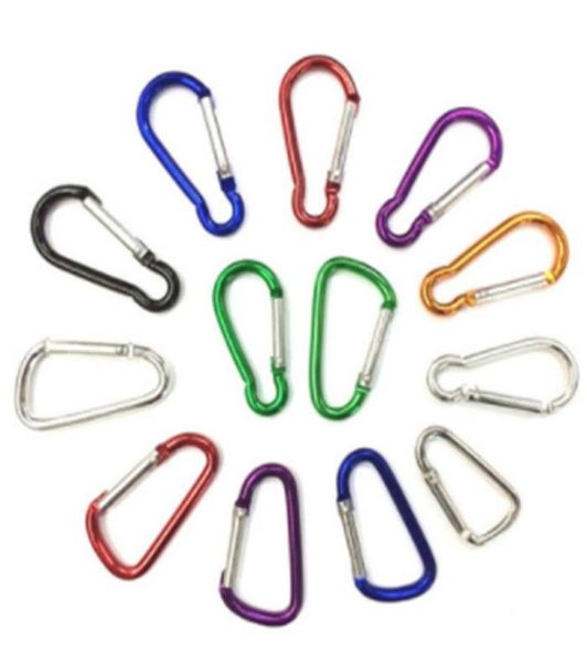 Leichte Kletterknopf-Schlüsselanhänger, Schlüsselanhänger, Karabiner, Camping-Wanderhaken, Outdoor-Sport, Aluminium-Sicherheitsschnalle, 100 Stück, DLH03431033