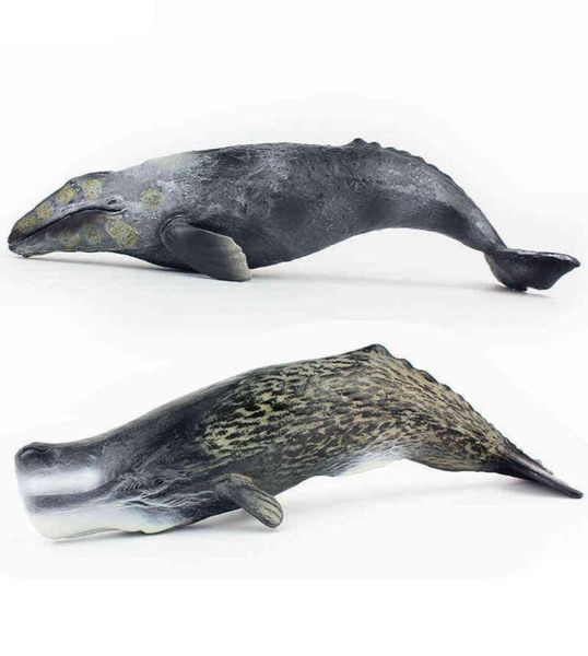 Tomy 30cm simulação criatura marinha baleia modelo esperma baleia cinza baleia pvc figura modelo brinquedos x11069055878