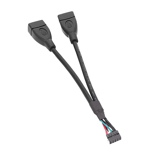 Dupont 2,0 mm Mini 9Pin 10Pin Motherboard Buchsenleiste auf Dual USB Buchse Adapterkabel für Industriecomputer Motherboard