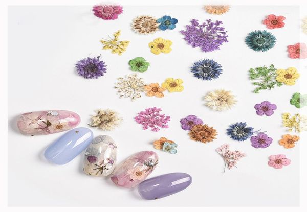 Tırnak Sanatı Kurutulmuş Çiçek Dekorasyon Seti Doğal Tırnak Gerçek Kuru Çiçek Daisybabysbreathfive Petal Serisi Accessories2042514