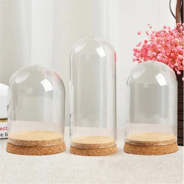 Atacado 50 x diâmetro 8cm flor eterna cúpula de vidro capa vasos decoração para casa plantas suculentas display bell jar com base de madeira diy casamento ll