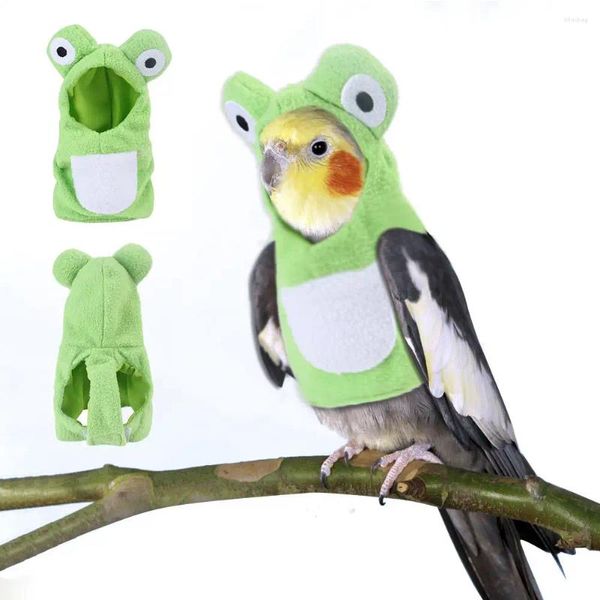 Outros suprimentos de pássaros Engraçado sapo em forma de pássaros roupas de pelúcia terno voador papagaios traje cosplay roupa inverno quente chapéu com capuz acessórios para animais de estimação