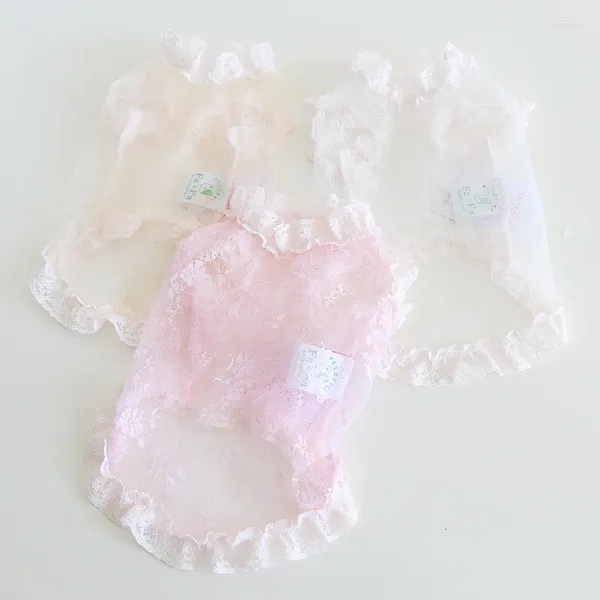 Vêtements pour chiens Vêtements pour animaux de compagnie Dentelle Gaze Robe pour chiens Vêtements Chat Petit Mignon Mince Printemps Été Rose Mode Fille Yorkshire Accessoires