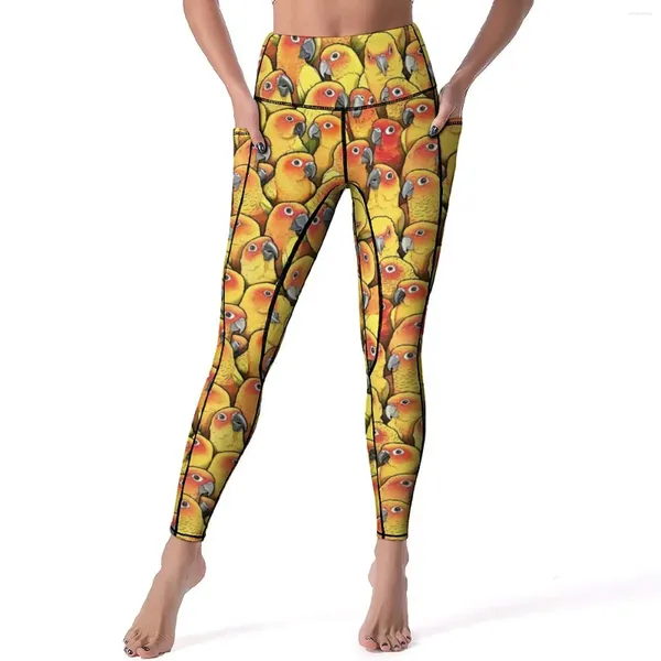 Kadınların Tayt Sarı Parrot Seksi Güneş Conures Baskı Yüksek Bel Yoga Pantolon Moda Hızlı Drit