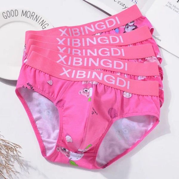 Cuecas sexy roupa interior briefs homens puro algodão virilha respirável rosa triângulo calças para e bonito dos desenhos animados shorts personalizados