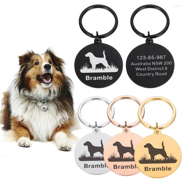 Hundemarke, individuelles Identitätshalsband, Heimtierbedarf, personalisiertes Namensschild, Anti-Verlust-Katze-Halskette mit Gravur der Adressnummer