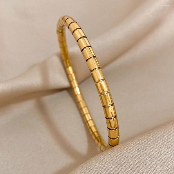 Bangle DODOHAO em 2024 aço inoxidável cor de ouro bambu para mulheres homens unisex simples criativo ins moda chique jóias presente