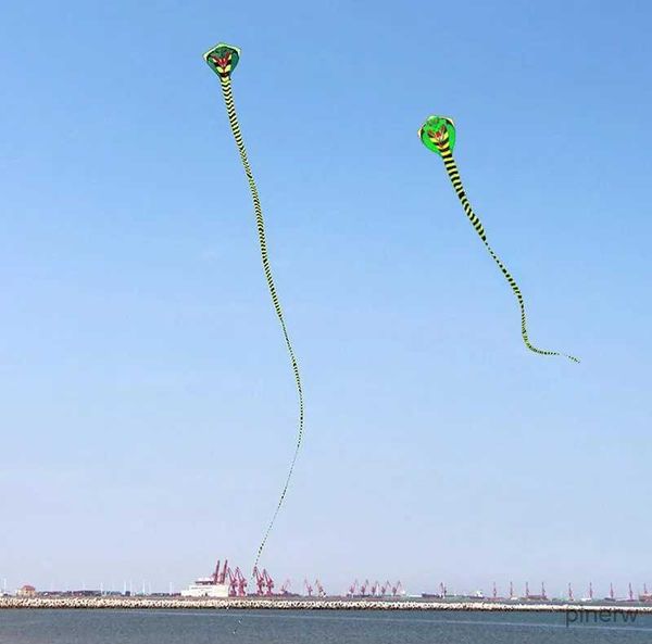 Acessórios para pipa frete grátis linha de corda grande cobra pipa mosca nylon kite praia esportes crianças kite weifang cobra kite