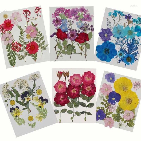 Flores decorativas 15/30 peças mistas reais naturais secas prensadas folhas ramos prensa seca kit de flores diy para molduras fabricação de velas de resina epóxi