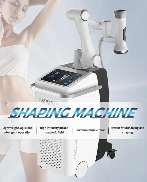 2-in-1-Multifunktionsroboter Beauty Age AI Intelligent EMS Freeze HI EMT Build Stimulation Freezing Fat Burn Cooling Cellulite Removal Beauty Machine