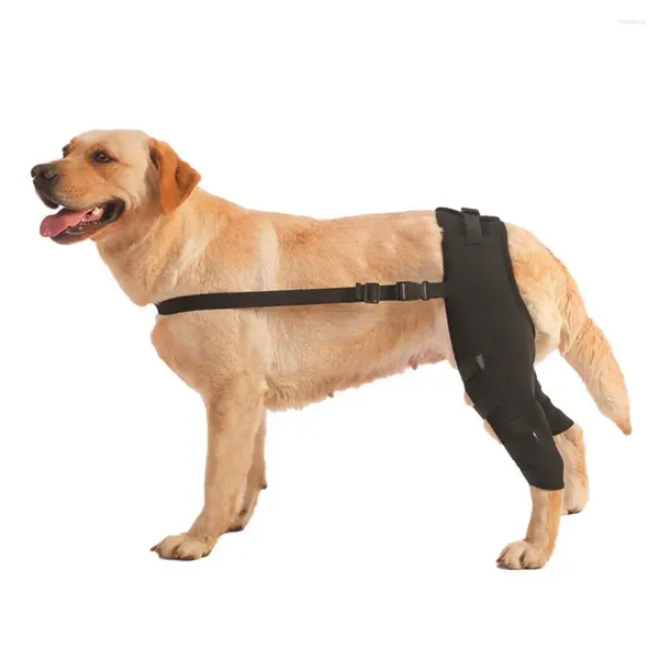 Vestuário para cães Equipamento de proteção para animais de estimação para animais de estimação idosos, fácil de usar, confortável, ajustável, cintas de perna, lesão de cães
