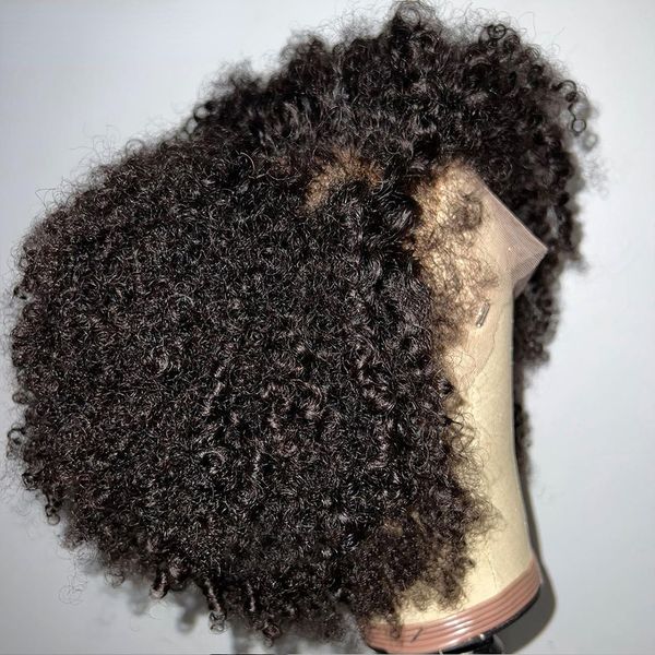 Brasilianische Afro Verworrene Lockige Menschenhaarperücken Schwarz 360 Lace Frontal Perücke Lockige Günstige Glueless Synthetische Kurze Spitzefrontseitenperücken Kostenloser Versand