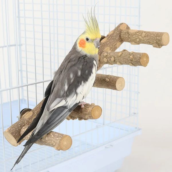 Mills Natural Wood Parrot Parch Bird Stand Stand Straming Fork Paraket Claping Standing Franch Ladder Toys Bird Cage Accessories