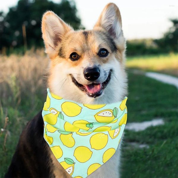 Abbigliamento per cani 2 pezzi Asciugamano triangolare per animali domestici Decorazioni per il bagno Compleanno Bandana triangolare Frutta