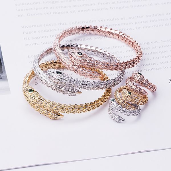 Punk Kreative Frühling Schlangenförmige Armband Ring Set Einstellbare Öffnungselastizität Für frauen Schmuck Großhandel Hiphop Rock Stil Versorgung