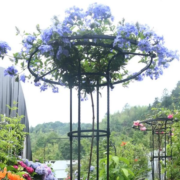 Supporta traliccio da giardino verticale ombrello creativo traliccio per fiori pianta in vaso telaio di supporto per viti pomodori piselli altre piante vive