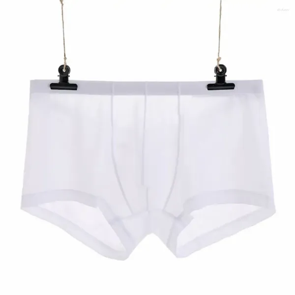 Underpants Sexy Mens Ice Silk Flat Canto Calças Hombre Lingerie Masculino Elastic Underwear Sheer Gay Slips Cueca Calzoncillos