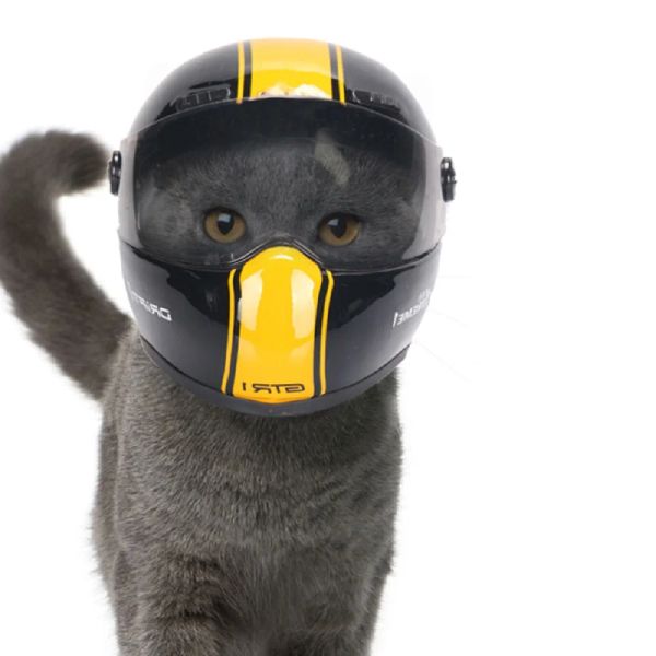 Bekleidung Haustier-Katzenhelm Hundehelm Hübscher Pet Out Antikollisionshut für kleine Hunde Katzen machen Styling Foto-Requisiten Haustierhut