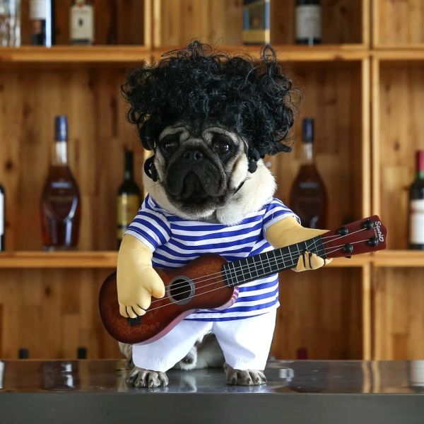 Gravação Engraçada Animal de Estimação Guitarrista Cosplay Fantasia de Cachorro Guitarrista Vestindo Festa de Halloween Roupas de Ano Novo para Pequenos Cães Franceses Gatos 3