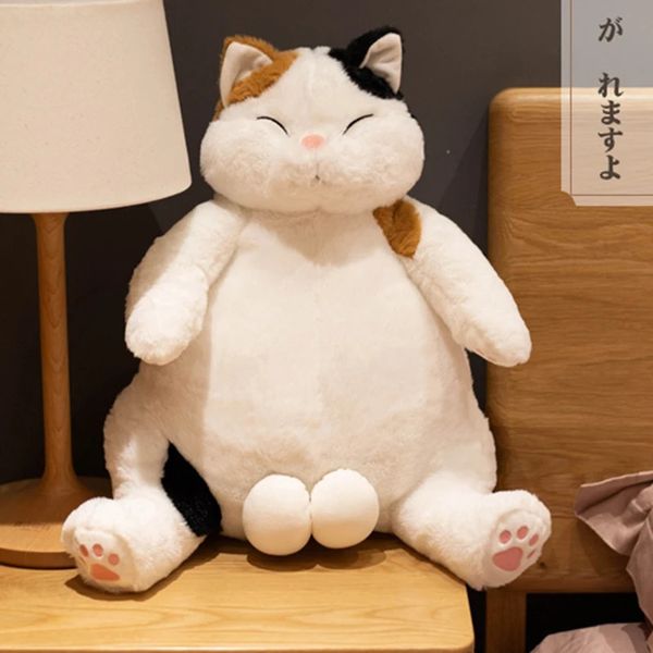 Chegue 35/45cm japonês kawaii macio pelúcia gato brinquedos de pelúcia bonecas crianças presente adorável gatos gordos travesseiro decoração para casa 240124