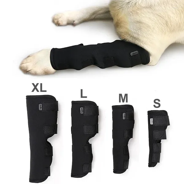 Hundebekleidung Haustier-Beinstützen, verstellbar, stoßfest, flexible Unterstützung, reflektierende Sicherheitsgurte zur Schmerzlinderung, Großhandel
