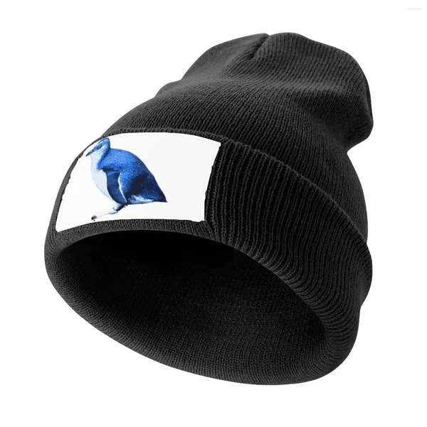Berets SBP Little Blue Penguin Tricotado Cap Chapéu de Pesca Preto Fluffy Drop Masculino Beisebol Feminino