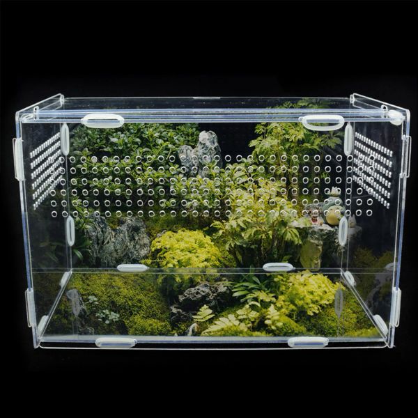 Terrariums Großes Acryl-Terrarium für Reptilien, robuste Box, transparent, Heimtierbedarf, kaltblütige Tiere, Insektenheim, einladend