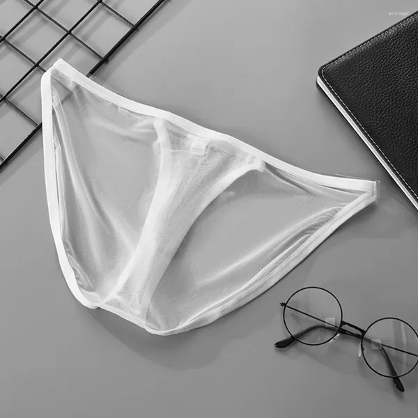 UNDUPTS mesh ince brifs seksi erkekler iç çamaşırı düşük bel spor külot u dışbükey torba elastik-dile gey şeffaf için