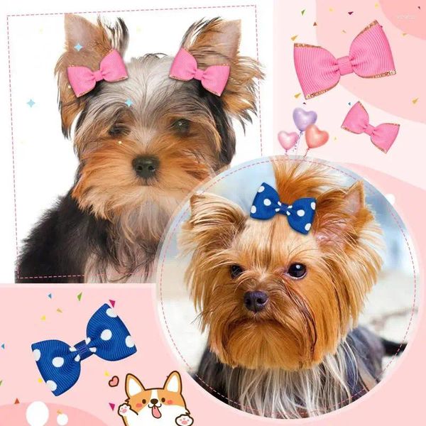 Abbigliamento per cani Accessori per capelli Adorabile comodo regalo Yorkshire Elastico colorato ed elegante per cani Fiocchi alla moda