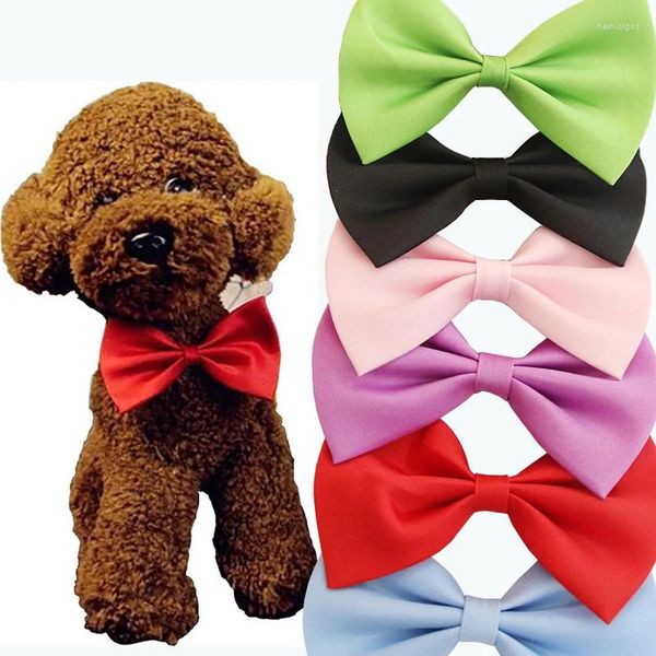 Abbigliamento per cani 1 pezzo regolabile farfallino per gatti cucciolo di animale domestico collo gattino collare cinturino forniture per animali domestici o accessorio piccolo e medio