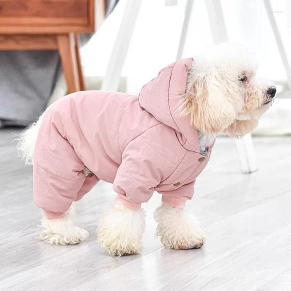 Trajes de gato outono inverno jaqueta para animais de estimação roupas para cães pequenos schnauzer pomeranian yorkshire terrier filhote de cachorro ropa para perro cães acessórios