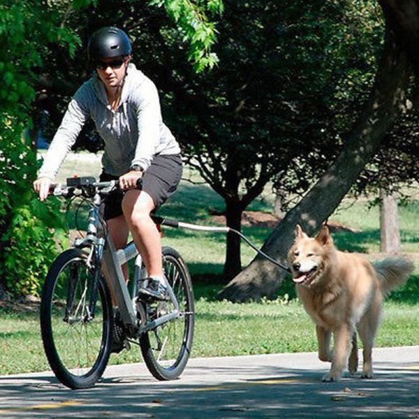 Guinzagli Elastico in nylon Cintura di trazione per bicicletta per cani Corda Guinzaglio per cani Attacco per bici Pet Walk Run Jogging Distance Keeper Guinzaglio per animali domestici a mano libera