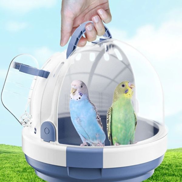 Carrier Clear Bird Window Travel Carrier Pappagalli Borsa portatile Gabbia da trasporto Pieghevole all'ingrosso traspirante