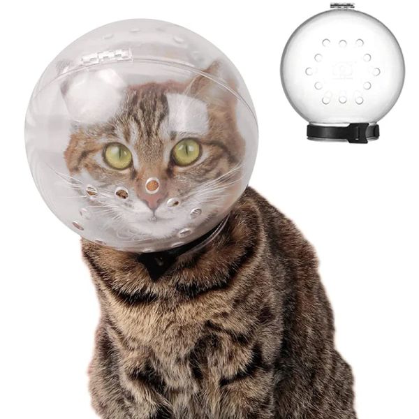 Accessori Accessori per gatti Museruola per gatti domestici Anti morso Maschera per toelettatura traspirante Museruole per mordere Bagno Strumento da viaggio di bellezza Forniture per toelettatura