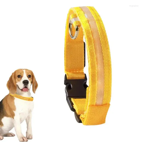 Collari per cani Collare illuminato per collana lampeggiante con luce di sicurezza notturna 3 modalità di illuminazione Prodotto per animali domestici ricaricabile a LED impermeabile