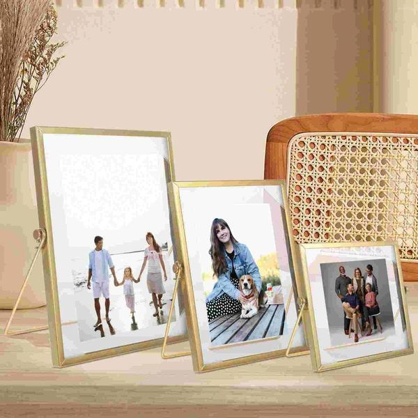 Quadros Ferro PO Quadro Vidro Display Simples Espécime Mostrando Imagem de Ouro Clear Tabletop Holder Plant Stand