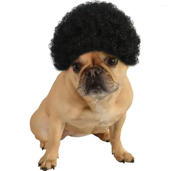 Cão vestuário peruca encaracolado preto cabelo pet traje cosplay adereços engraçado cabeça acessórios macio leve laço-up cinta anti-deslizamento falso