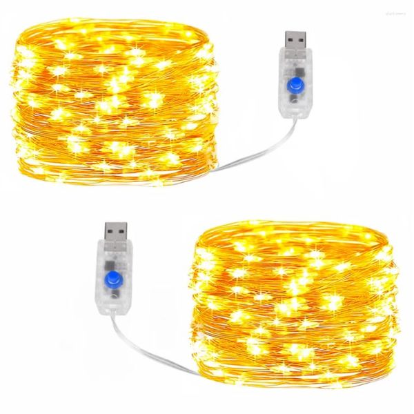 Stringhe lampeggianti Luce costante 8 modalità Stringhe luminose USB Stellato Filo impermeabile Decorativo Vacanze di Natale