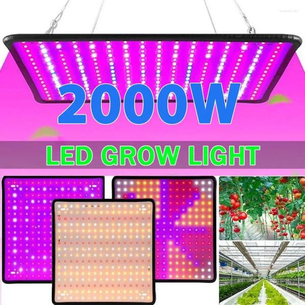 Wachstumslichter, LED-Pflanzenlicht, 1000 W/2000 W, volles Spektrum, Hydrokultur-Wachstumslampe, Pflanzen, Phyto-Gemüse-Blume, für den Innenbereich, ultradünnes Panel, Phytolampe