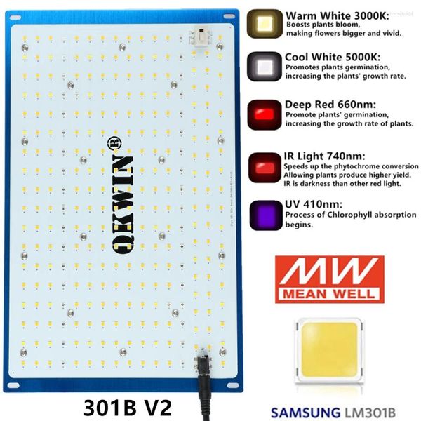 Luzes de cultivo Espanha Drop Quantum Board LM301B 240W Full Spectrum Light LED Meanwell Driver para plantas Veg Blooming