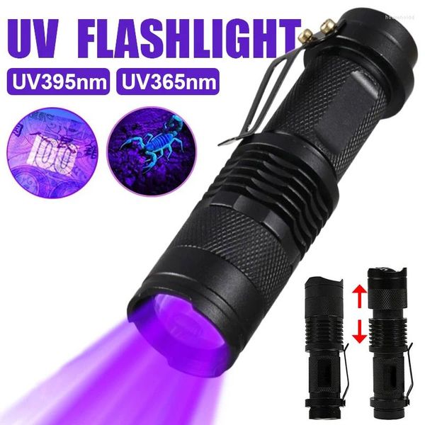 Taschenlampen Taschenlampen 365/395 nm UV Zoombare Mini-LED-Ultraviolett-Taschenlampe 3 Modi Haustier-Urin-Detektor Violettes Licht Skorpion-Jagdlampe